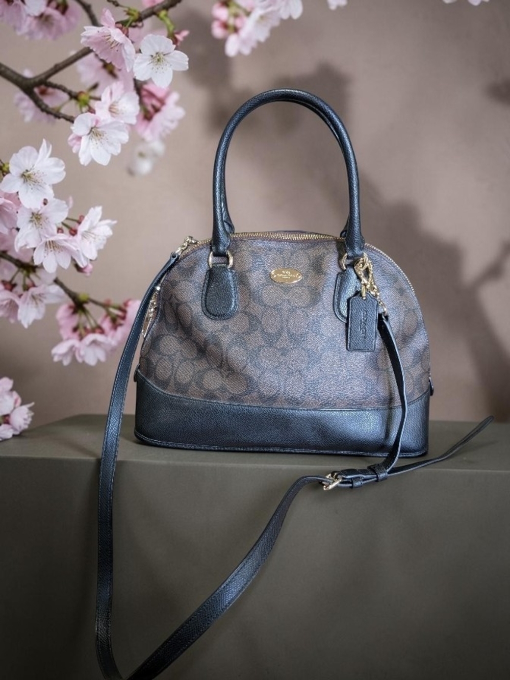 Coach Signature Dome Satchel in Brown/Black